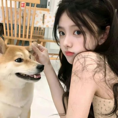 春满兰宫